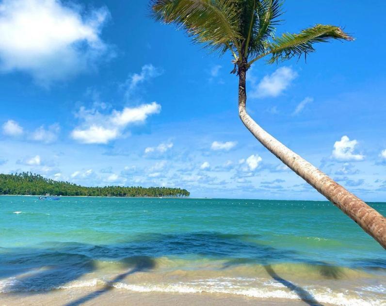 Flat Praia Dos Carneiros Eco Resort 26 Tamandaré Eksteriør bilde
